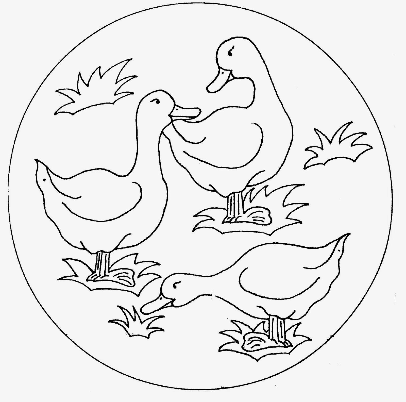 Раскраска птицы утки